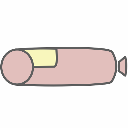 paštiky, salámy